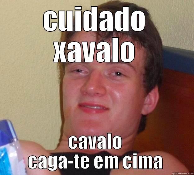 cuidado xavalo - CUIDADO XAVALO CAVALO CAGA-TE EM CIMA 10 Guy