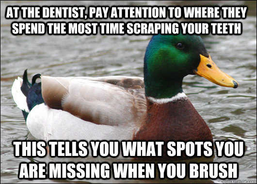 At the dentist, pay attention to where they spend the most time scraping your teeth  This tells you what spots you are missing when you brush - At the dentist, pay attention to where they spend the most time scraping your teeth  This tells you what spots you are missing when you brush  Actual Advice Mallard