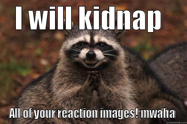 I WILL KIDNAP  ALL OF YOUR REACTION IMAGES! MWAHA Evil Plotting Raccoon