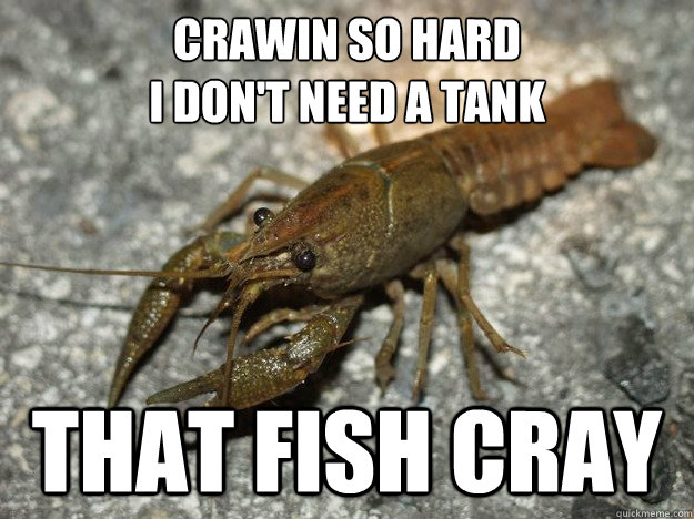 Crawin so hard
I don't need a tank that fish cray  that fish cray