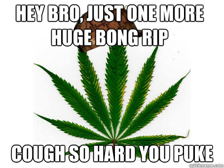 Hey bro, just one more huge bong rip cough so hard you puke  Scumbag Marijuana