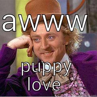 puppy love - AWWW  PUPPY LOVE  Condescending Wonka