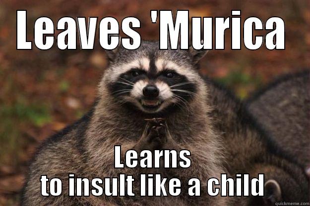 LEAVES 'MURICA LEARNS TO INSULT LIKE A CHILD Evil Plotting Raccoon