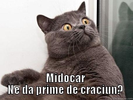  MIDOCAR NE DA PRIME DE CRACIUN? conspiracy cat