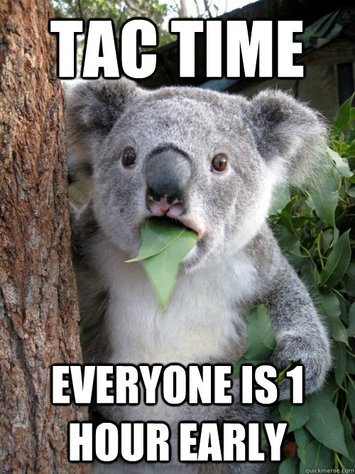 Tac time everyone is 1 hour early - Tac time everyone is 1 hour early  koala bear