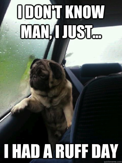 I don't know man, I just... I had a ruff day  Introspective Pug