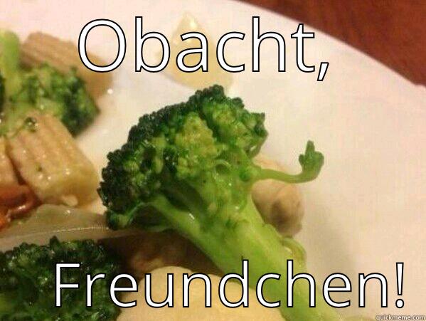 OBACHT,     FREUNDCHEN! Misc