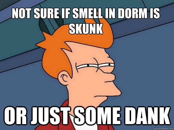 Not sure if smell in dorm is skunk Or just some dank  Futurama Fry