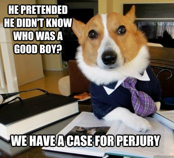 he pretended he didn't know who was a good boy? we have a case for perjury  Lawyer Dog