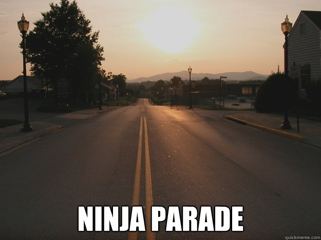  Ninja parade  Ninja Parade