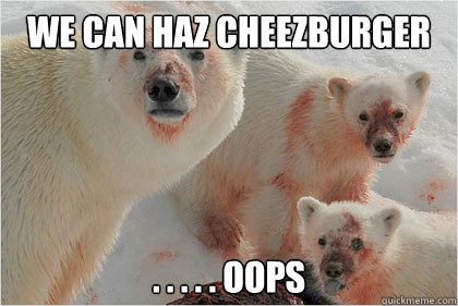 We can haz CHeezburger . . . . . Oops  Bad News Bears