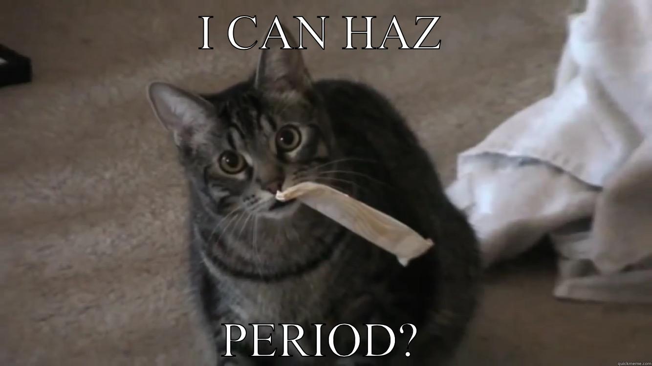 Kitty rides the cotton piny - I CAN HAZ PERIOD? Misc