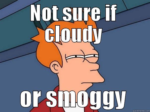 NOT SURE IF CLOUDY OR SMOGGY Futurama Fry