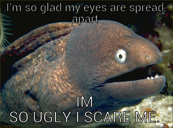 I'M SO GLAD MY EYES ARE SPREAD APART IM SO UGLY I SCARE ME. Bad Joke Eel