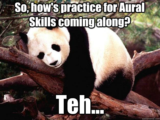 So, how's practice for Aural Skills coming along? Teh...  Procrastination Panda