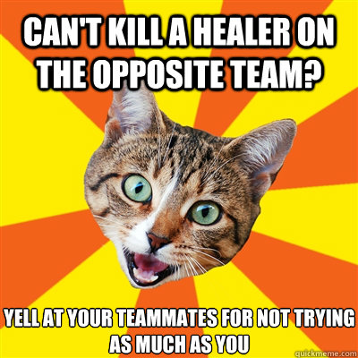 Can't kill a healer on the opposite team? Yell at your teammates for not trying as much as you  Bad Advice Cat