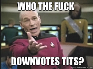 Who the fuck downvotes tits?  Annoyed Picard