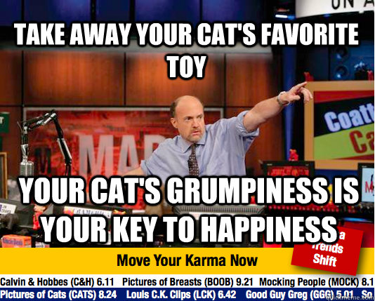 Take away your cat's favorite toy your cat's grumpiness is your key to happiness - Take away your cat's favorite toy your cat's grumpiness is your key to happiness  Mad Karma with Jim Cramer