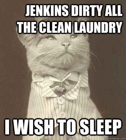 Jenkins Dirty all the clean laundry  I wish to sleep  Aristocat