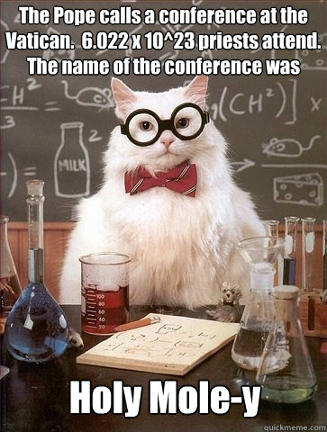 The Pope calls a conference at the Vatican.  6.022 x 10^23 priests attend.  The name of the conference was Holy Mole-y - The Pope calls a conference at the Vatican.  6.022 x 10^23 priests attend.  The name of the conference was Holy Mole-y  Chemistry Cat