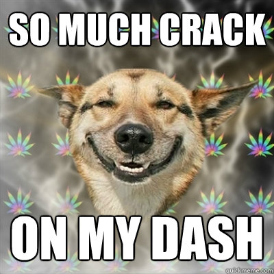 So much crack ON my dash  Stoner Dog