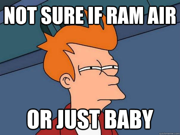 not sure if Ram Air or just baby  Futurama Fry