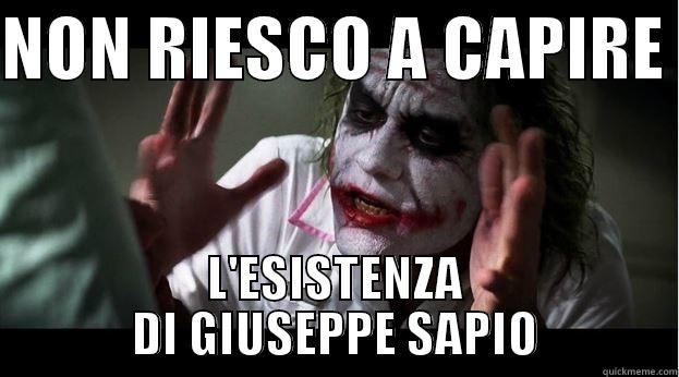 NON CAPISO  - NON RIESCO A CAPIRE  L'ESISTENZA DI GIUSEPPE SAPIO Joker Mind Loss