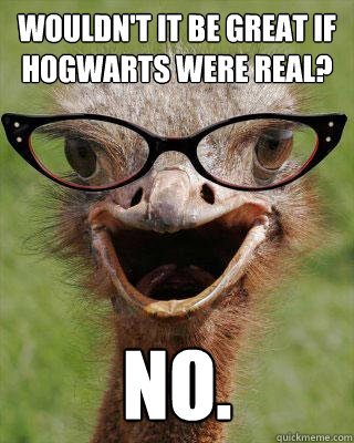 Wouldn't it be great if Hogwarts were real? No. - Wouldn't it be great if Hogwarts were real? No.  Judgmental Bookseller Ostrich