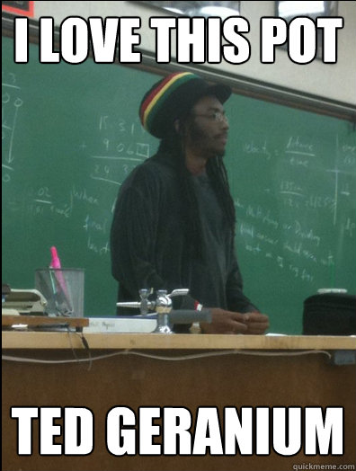 I love this pot ted geranium   Rasta Science Teacher