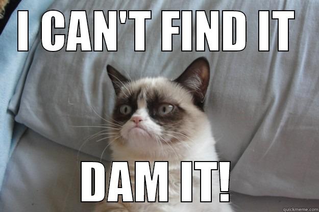 DAM it all! - I CAN'T FIND IT DAM IT! Grumpy Cat