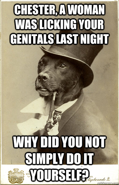 chester, a woman was licking your genitals last night why did you not simply do it yourself? - chester, a woman was licking your genitals last night why did you not simply do it yourself?  Old Money Dog