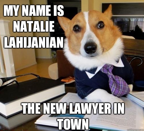 My name is Natalie Lahijanian The new lawyer in town  Lawyer Dog