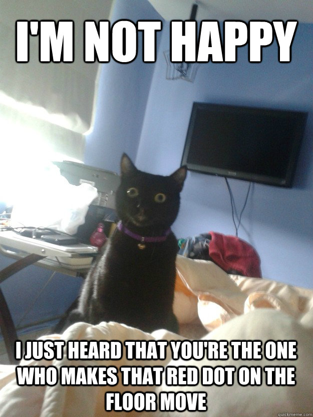 i'm not happy i just heard that you're the one who makes that red dot on the floor move  overly attached cat