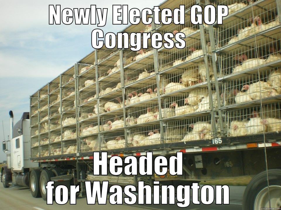 NEWLY ELECTED GOP CONGRESS HEADED FOR WASHINGTON Misc