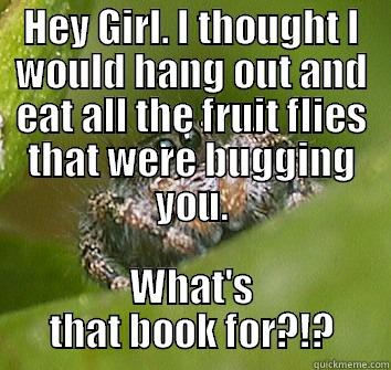 Poor spider - HEY GIRL. I THOUGHT I WOULD HANG OUT AND EAT ALL THE FRUIT FLIES THAT WERE BUGGING YOU. WHAT'S THAT BOOK FOR?!? Misunderstood Spider