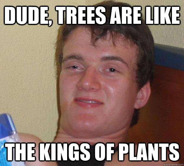 Dude, trees are like the kings of plants - Dude, trees are like the kings of plants  10 Guy