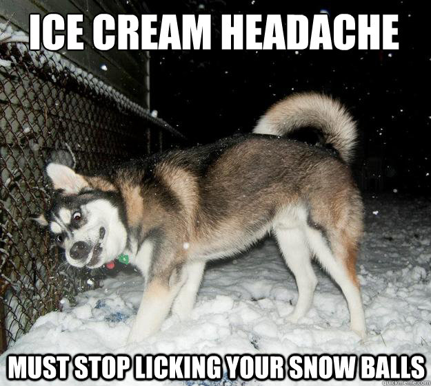 Ice Cream Headache Must stop licking your snow balls - Ice Cream Headache Must stop licking your snow balls  Sudden Clarity Canine