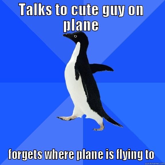 TALKS TO CUTE GUY ON PLANE FORGETS WHERE PLANE IS FLYING TO Socially Awkward Penguin