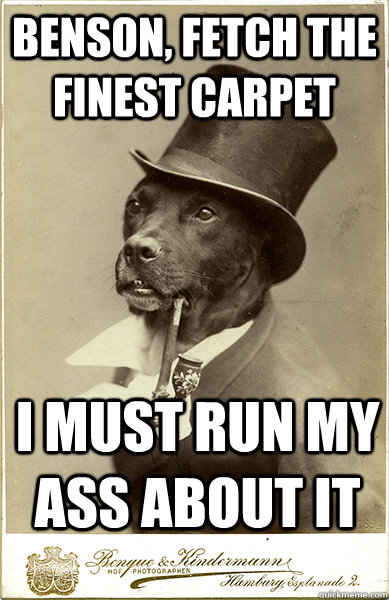 benson, fetch the finest carpet I must run my ass about it - benson, fetch the finest carpet I must run my ass about it  Old Money Dog