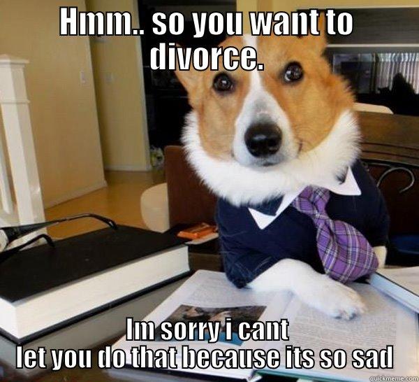 HMM.. SO YOU WANT TO DIVORCE. IM SORRY I CANT LET YOU DO THAT BECAUSE ITS SO SAD  Lawyer Dog