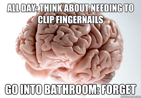 all day: think about needing to clip fingernails go into bathroom: forget  Scumbag Brain