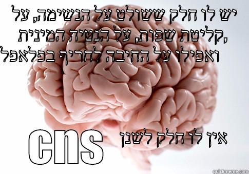  יש לו חלק ששולט על הנשימה, על קליטת שפות, על הנטיה המינית, ואפילו על החיבה לחריף בפלאפל                                                                                                                                                                        CNS             Scumbag Brain