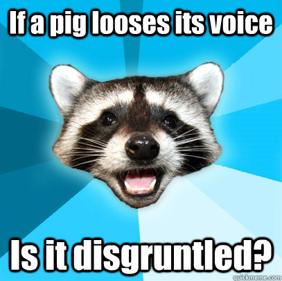 If a pig looses its voice  Is it disgruntled?    - If a pig looses its voice  Is it disgruntled?     Lame Pun Coon