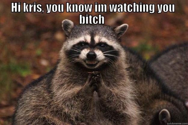 HI KRIS, YOU KNOW IM WATCHING YOU BITCH   Evil Plotting Raccoon