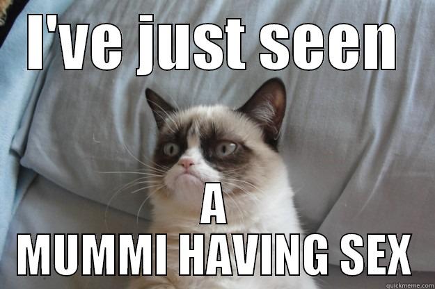 I'VE JUST SEEN A MUMMI HAVING SEX Grumpy Cat