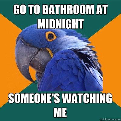 go to bathroom at midnight someone's watching me - go to bathroom at midnight someone's watching me  Paranoid Parrot