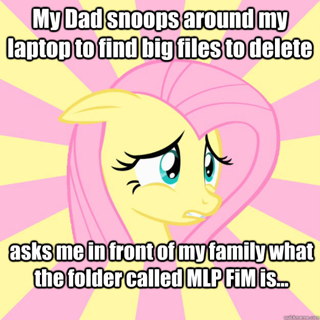 My Dad snoops around my laptop to find big files to delete asks me in front of my family what the folder called MLP FiM is...  Socially awkward brony