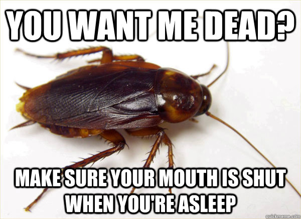 you want me dead? make sure your mouth is shut when you're asleep  Passive Agressive Roach