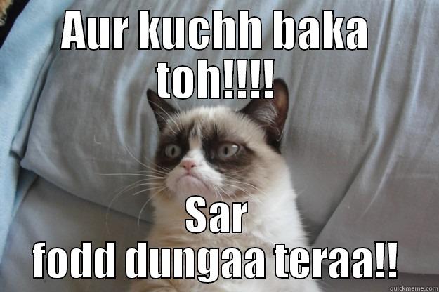 AUR KUCHH BAKA TOH!!!! SAR FODD DUNGAA TERAA!! Grumpy Cat