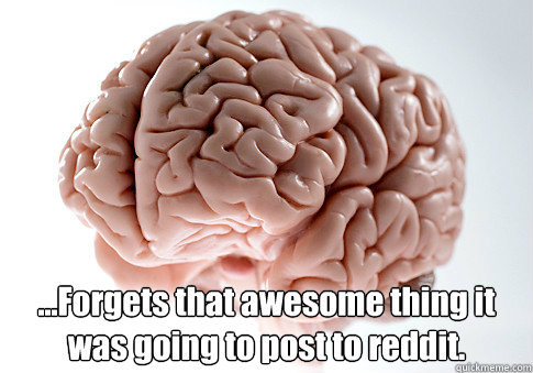  ...Forgets that awesome thing it was going to post to reddit.   Scumbag Brain